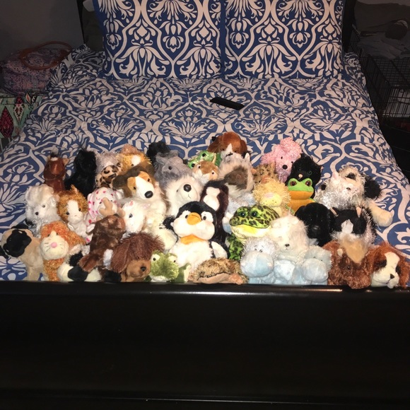 webkinz signature collection